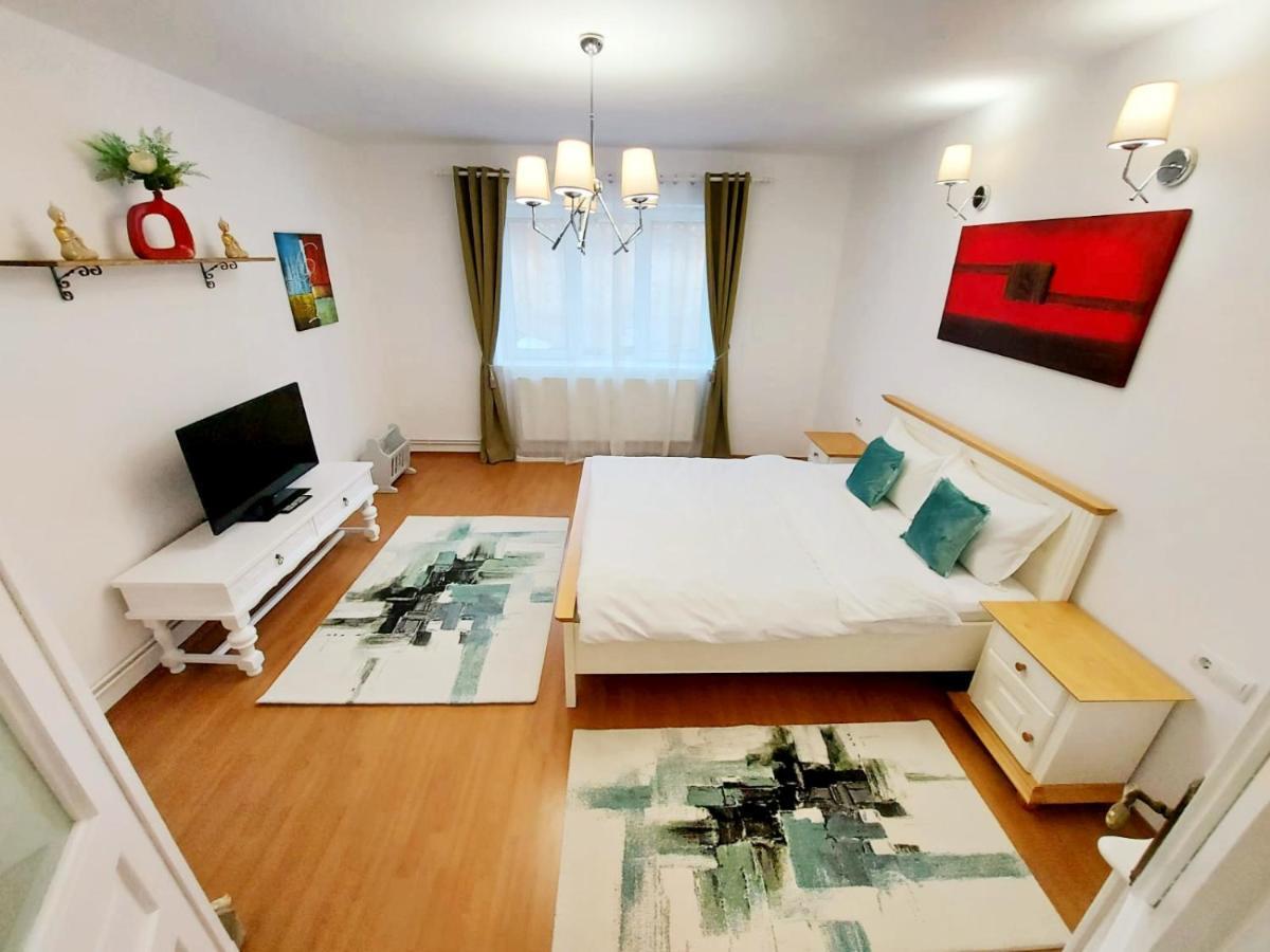 شقة براشوف  في Casa Dusa - Apartament Crisstina المظهر الخارجي الصورة